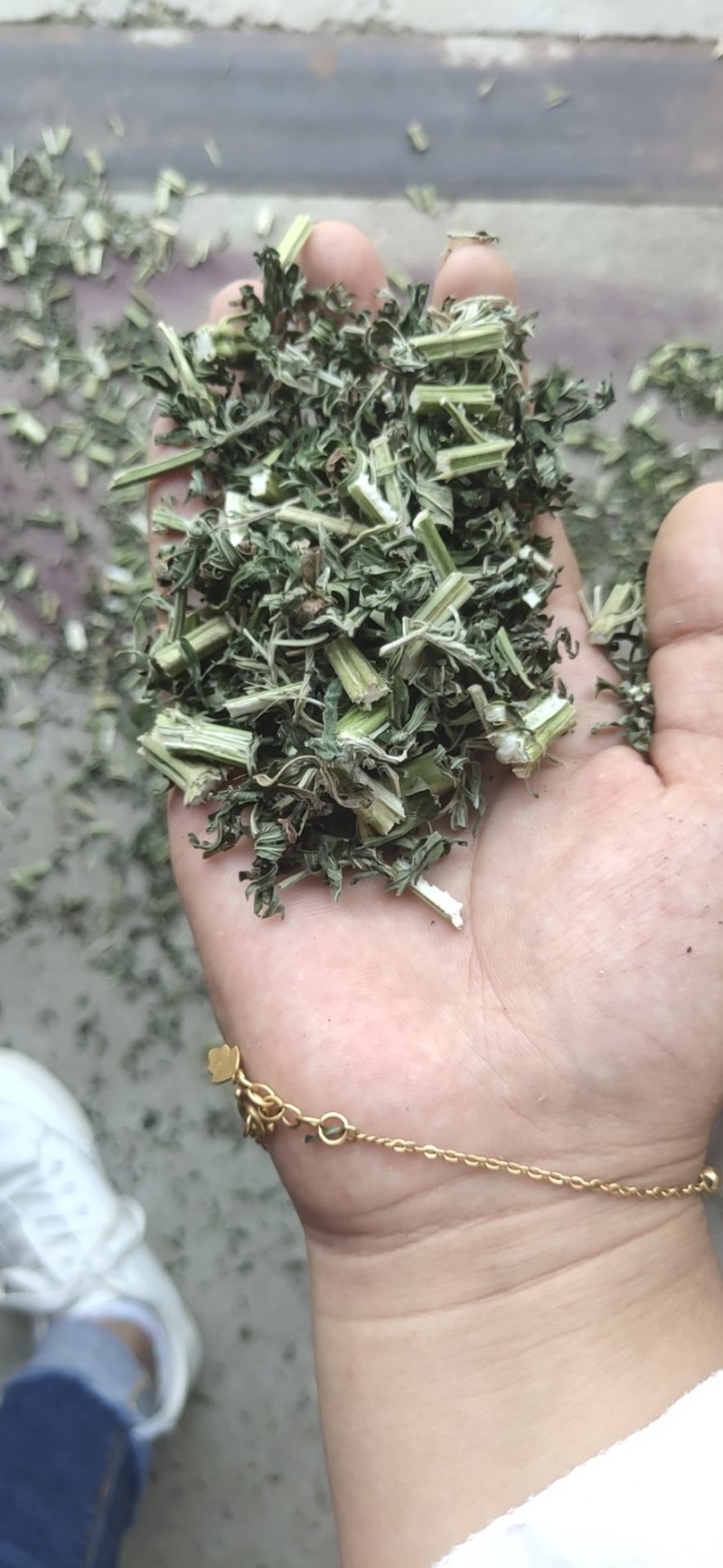 益母草片子