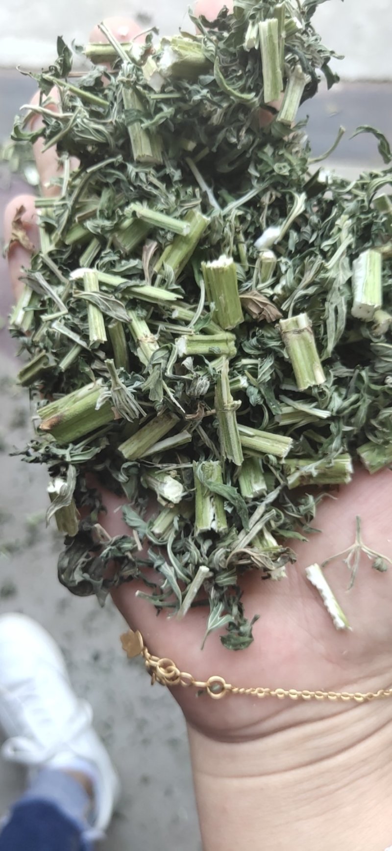 益母草片子