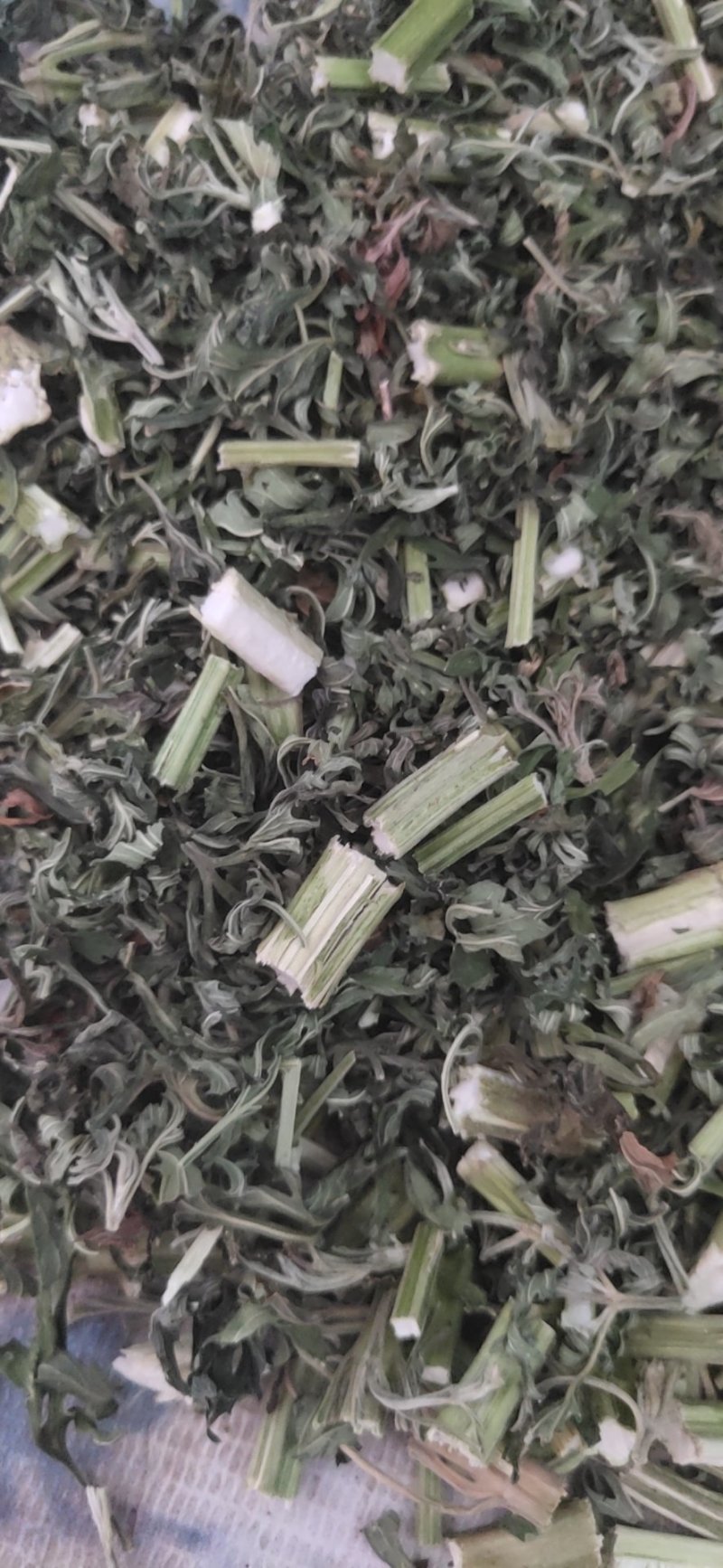 益母草片子