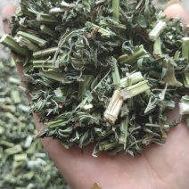 益母草片子