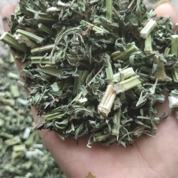 益母草片子