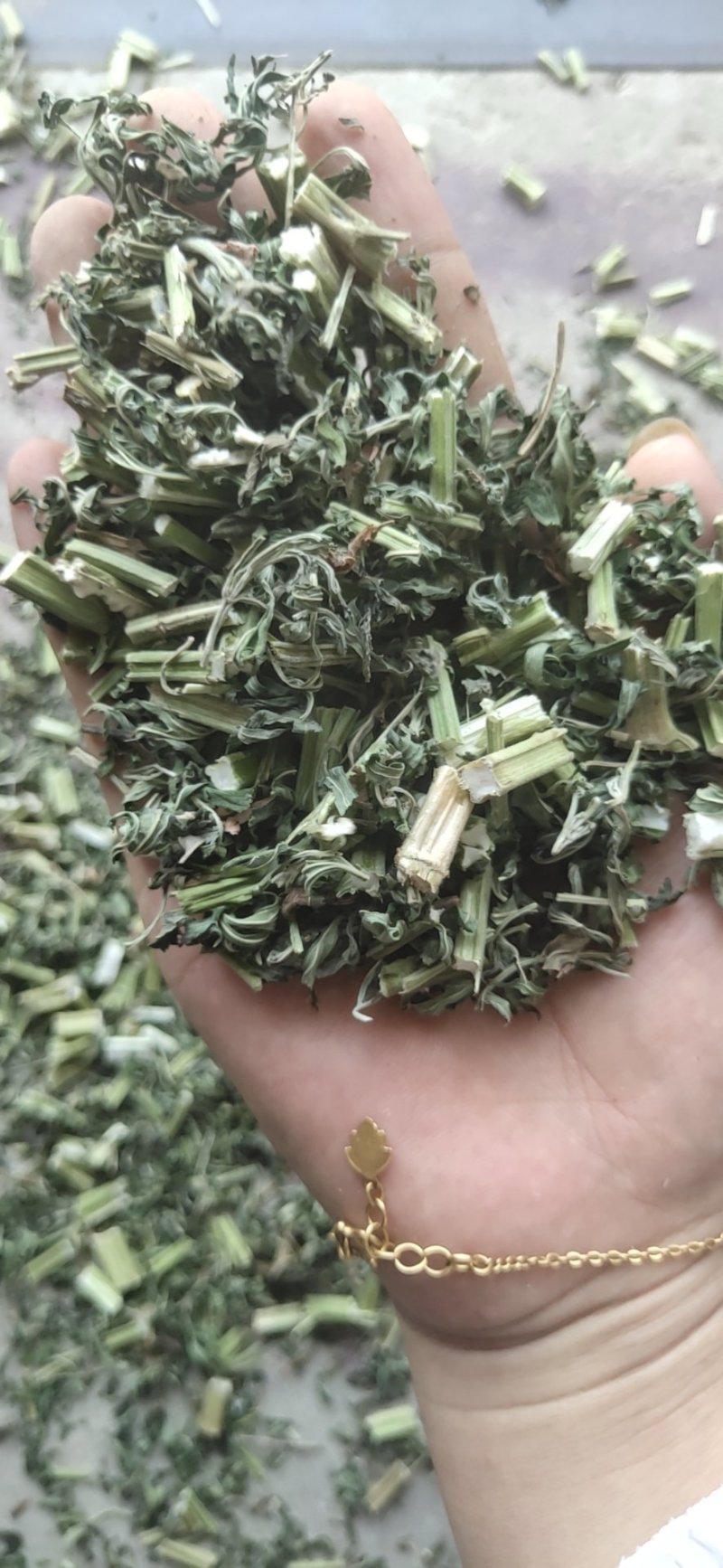 益母草片子