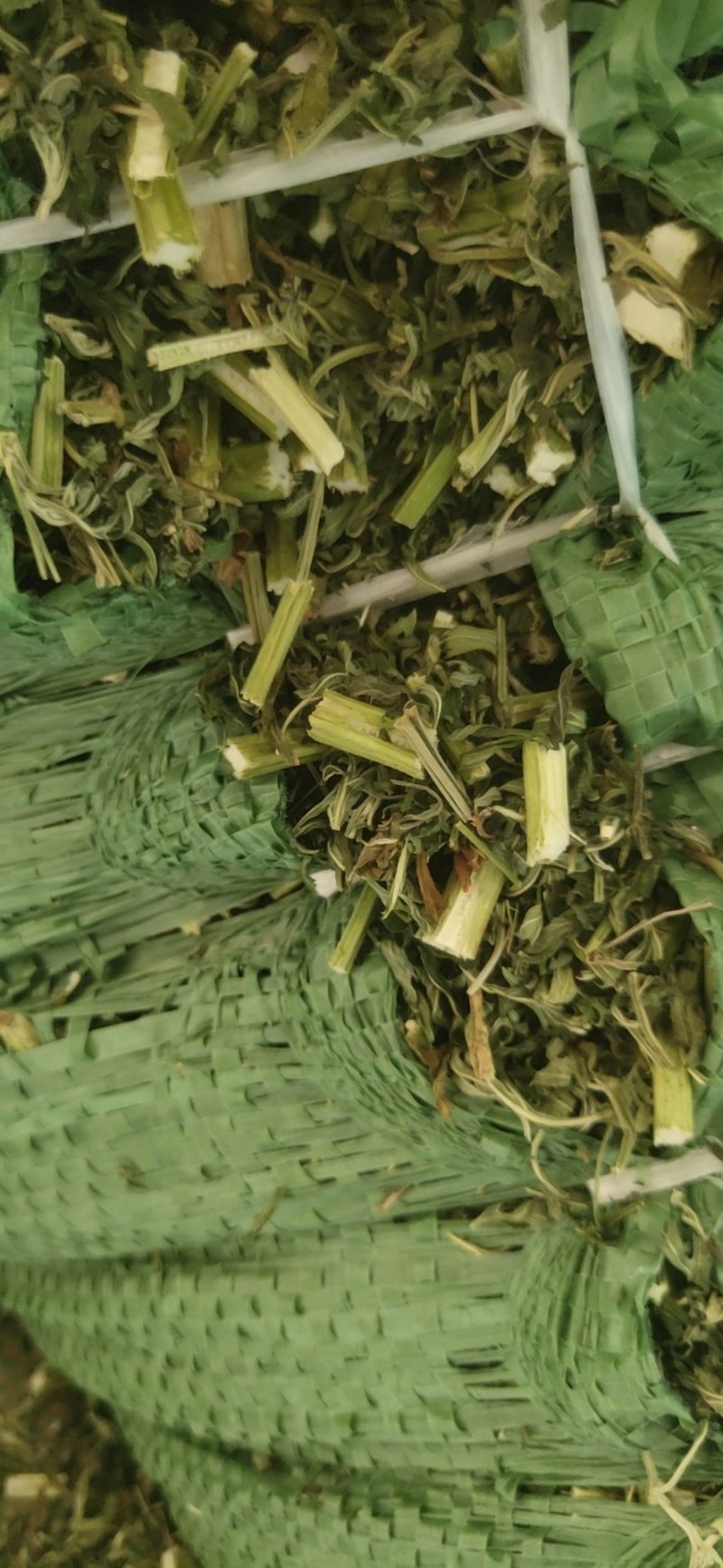 益母草片子