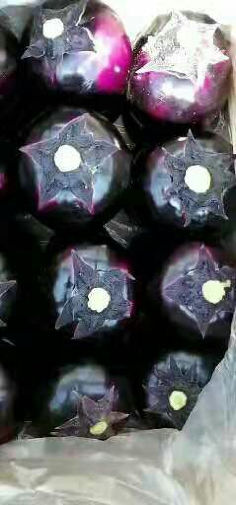 元茄子大量销售，价格美丽