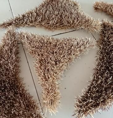[刺猬皮批发]刺猬皮价格170.00元/公斤 一亩田