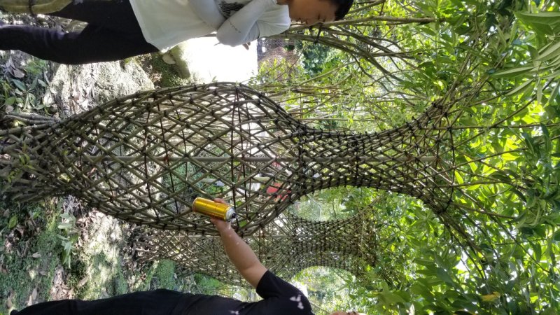 1.8米_2米高紫薇花瓶造型紫薇花瓶紫薇花瓶基地