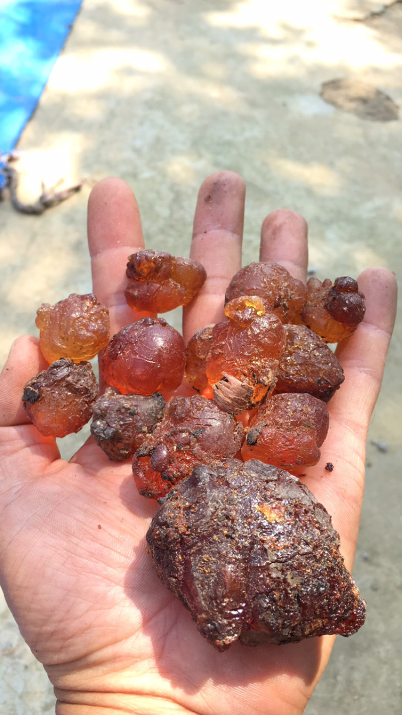 精修桃胶，水洗颗粒，各类统货产地直销量大优惠