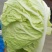 大量供应，大白莱，，走市场，入冷库，品质好，净莱，