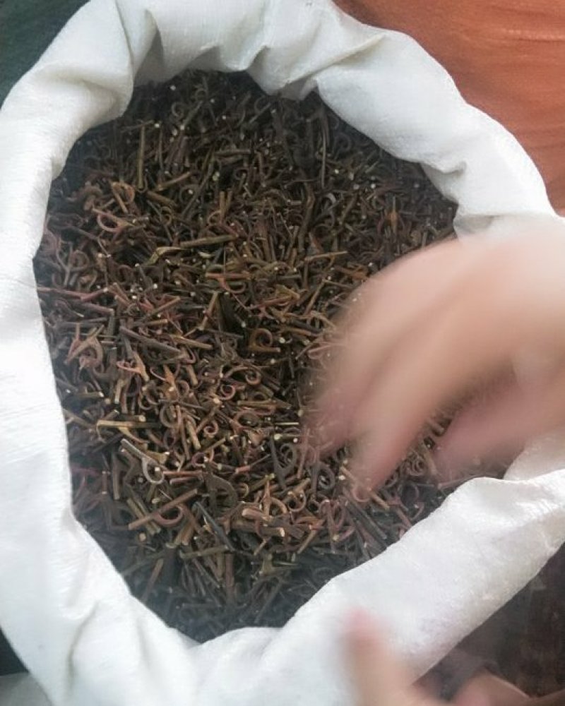钩藤