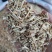 白茅根无硫白茅根中药材批发零售