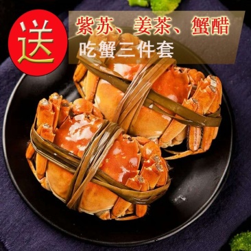 玉璞团大闸蟹公4两母3两5对10只鲜活螃蟹礼盒装顺丰包邮