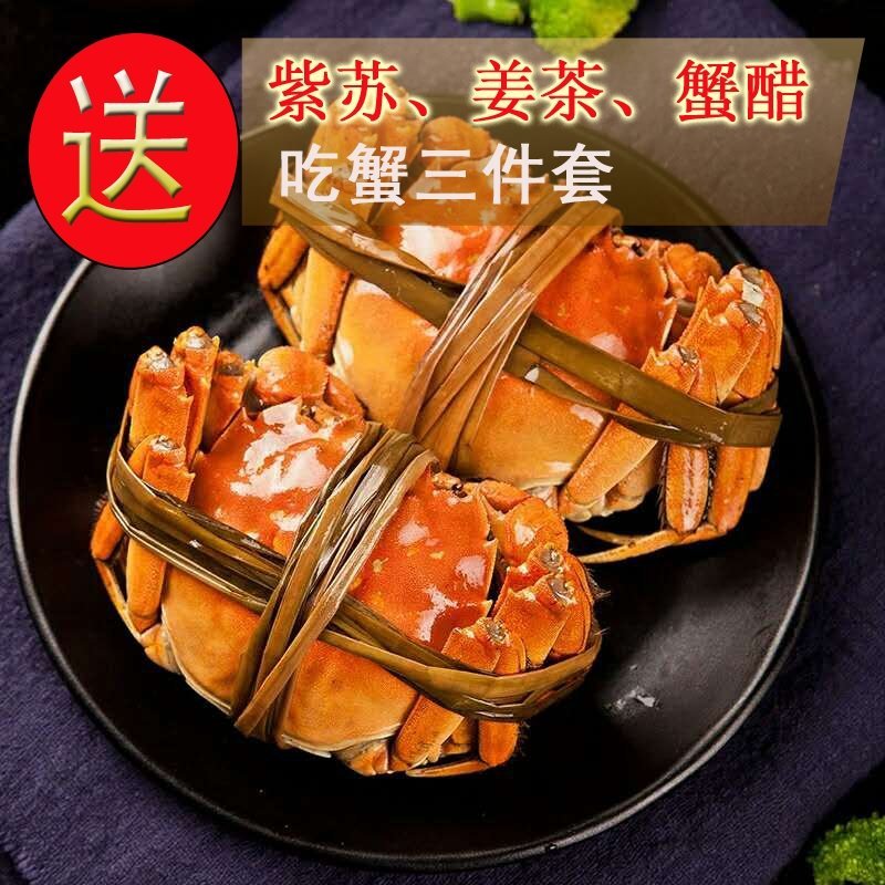 玉璞团大闸蟹公4两母3两5对10只鲜活螃蟹礼盒装顺丰包邮