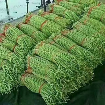 优质长豆角