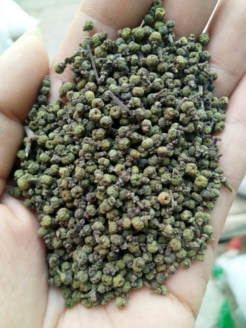 吴茱萸江西中粒高含量规格齐全24小时发货