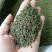 吴茱萸江西中粒高含量规格齐全24小时发货
