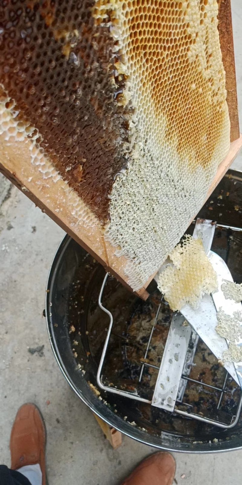 贵州中药材百花蜜，土蜂蜜