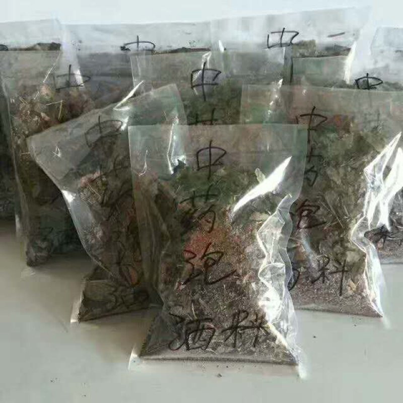 男性泡酒料人参鹿茸鹿鞭十全大补滋补老中医百年老方
