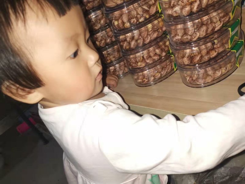 越南腰果电商代发闪电发货