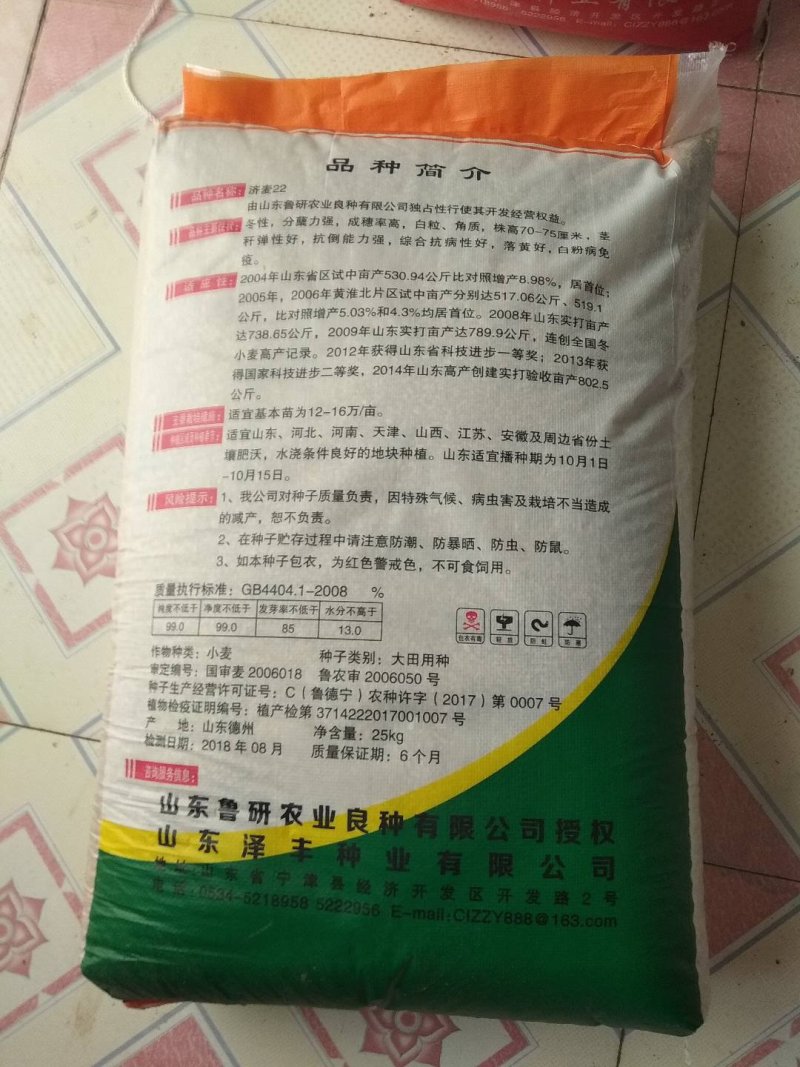 小麦种子