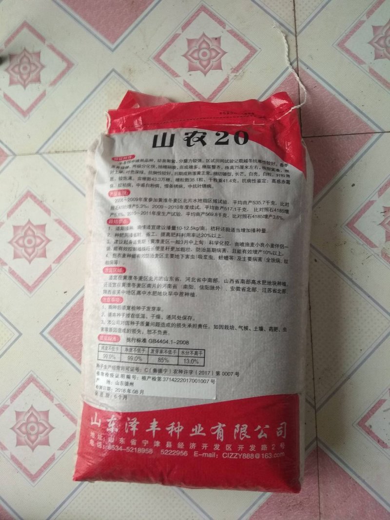 小麦种子