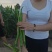 【新鲜直达】陕西渭南鲜辣椒线椒产地直供可视频看货