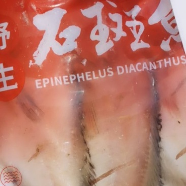 石斑鱼