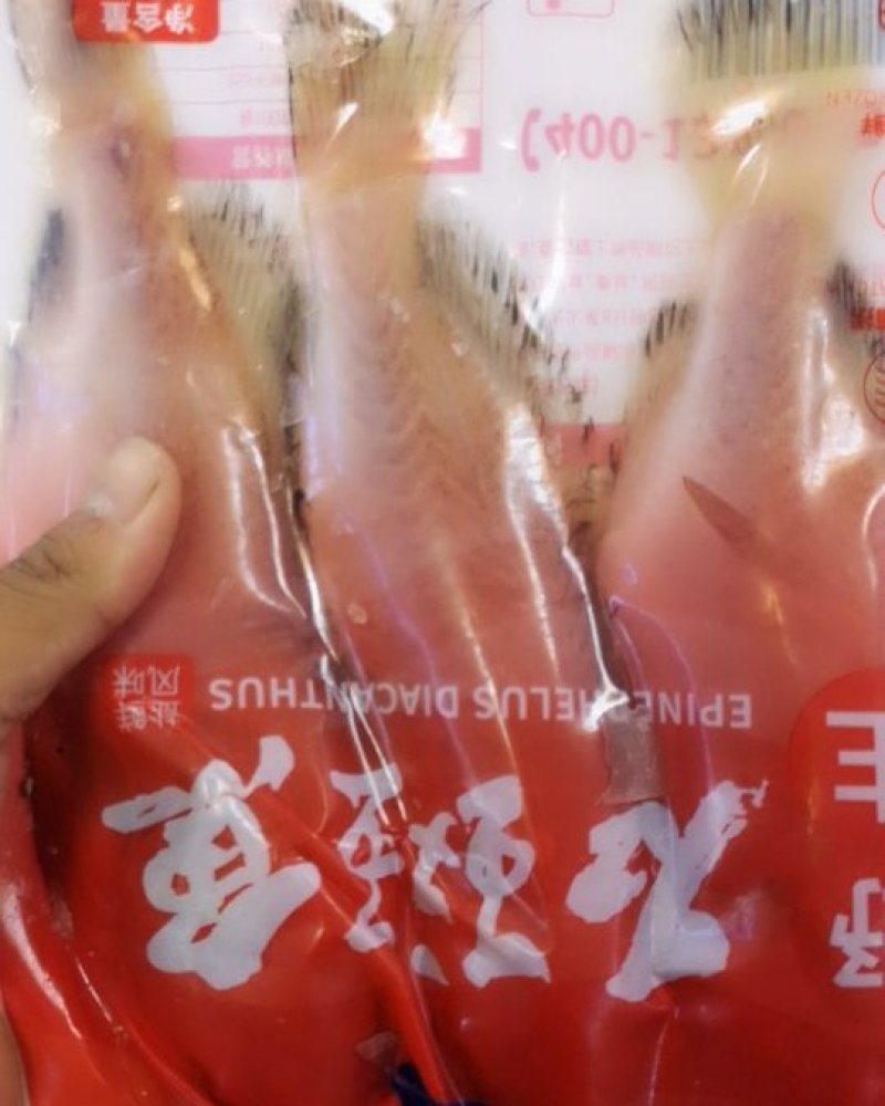 石斑鱼