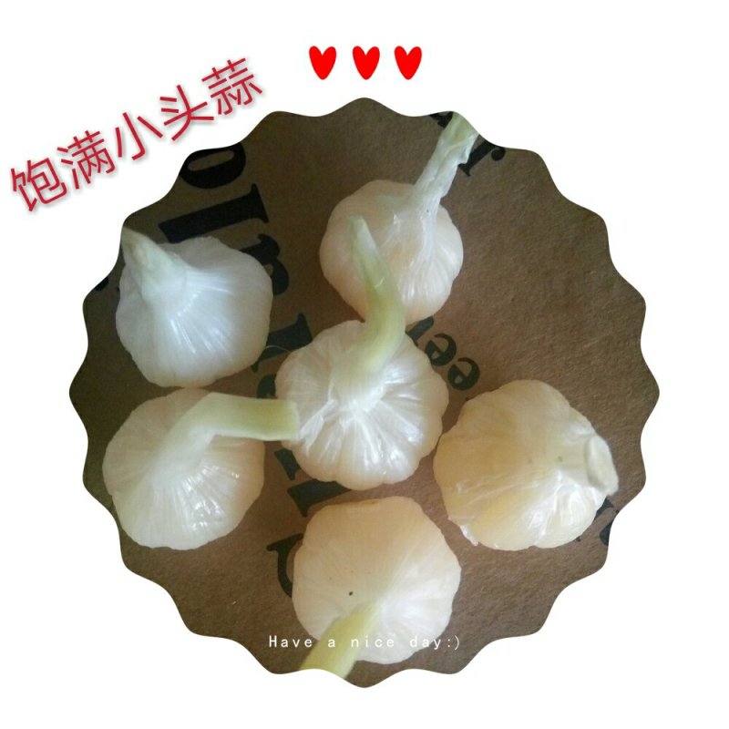 【腌蒜】糖蒜糖醋蒜头泡菜咸菜酸甜脆爽农家自制山东新鲜小蒜