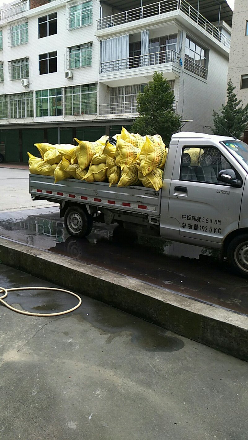 大量出货平和琯溪蜜柚，厦门地区送货上门，山头直接上车。