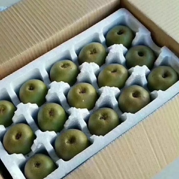 蒲江红心猕猴桃