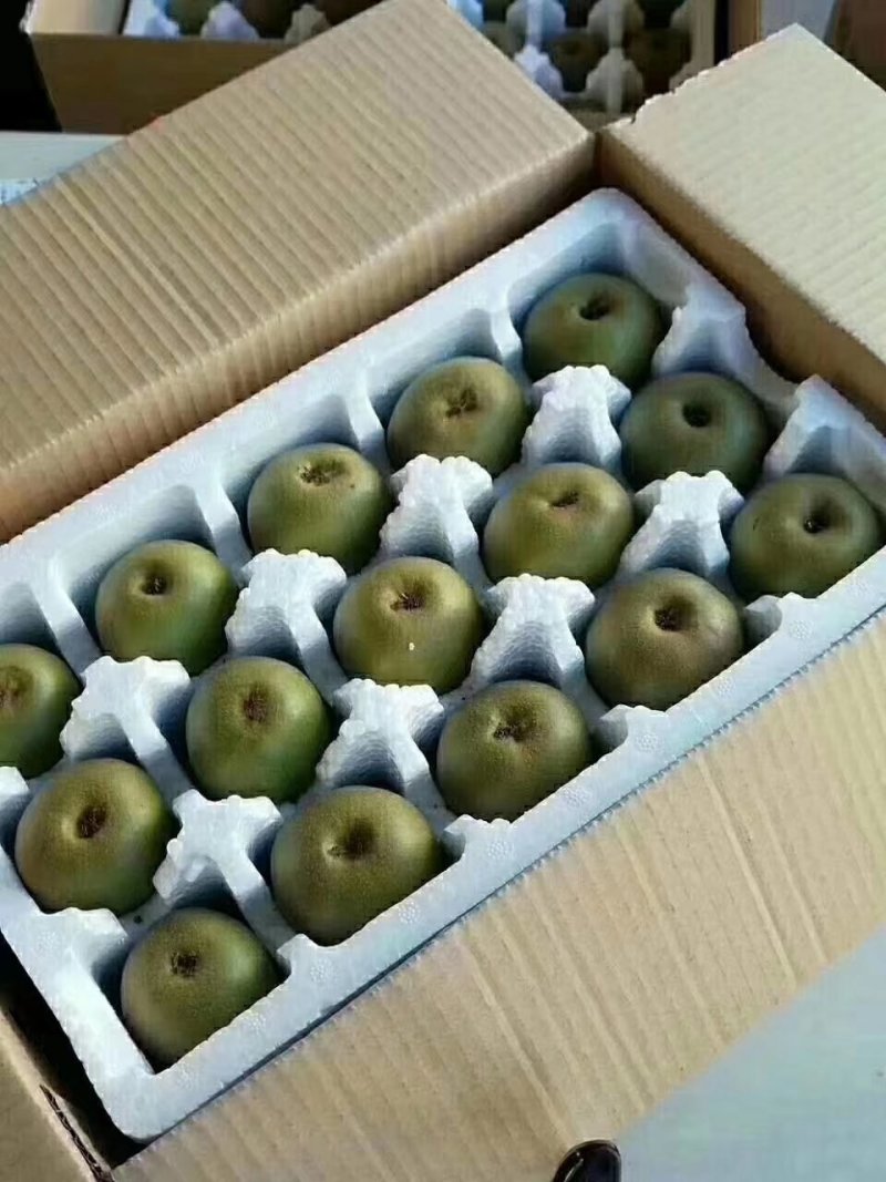 蒲江红心猕猴桃