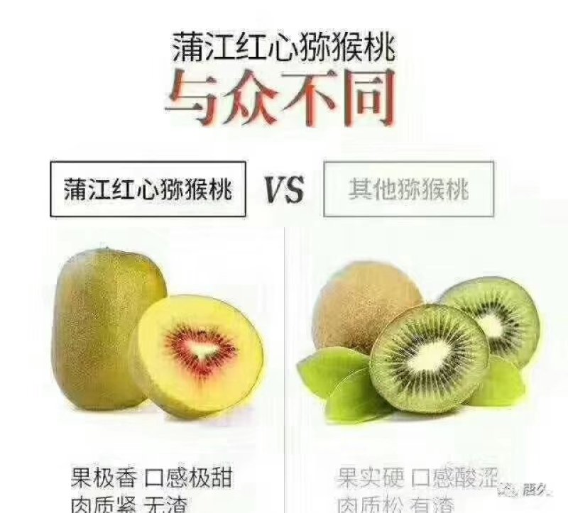 蒲江红心猕猴桃