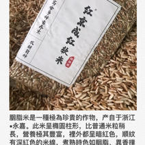 常规稻红软米红京成胭脂稻红米有色米