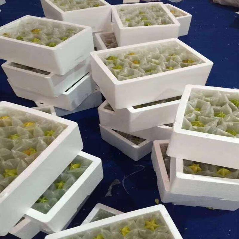 台湾香蜜杨桃