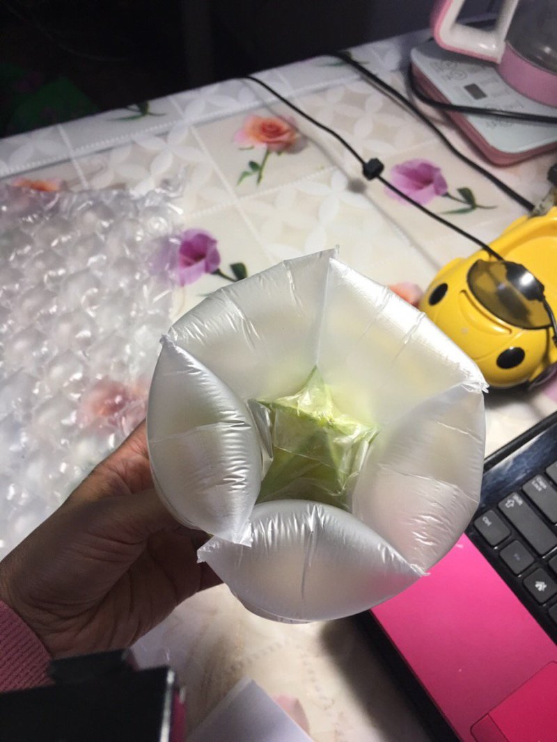 台湾香蜜杨桃