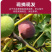 无花果：接受反季节预订