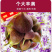 无花果：接受反季节预订