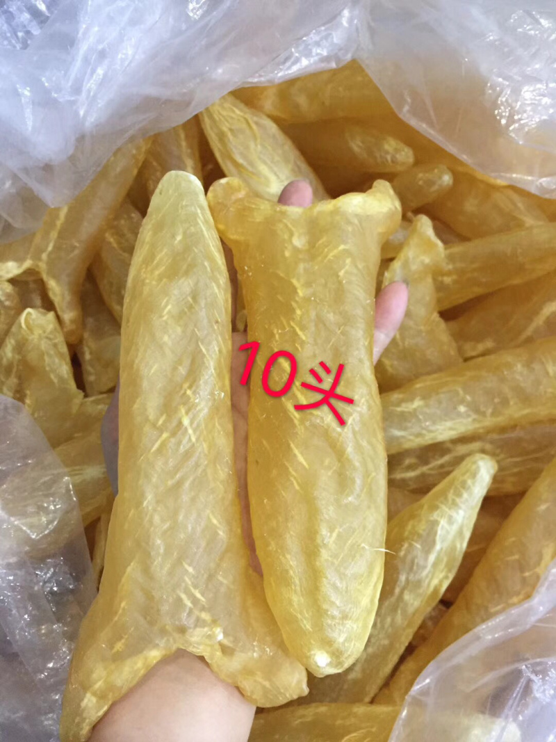黄花胶筒A货送礼佳品