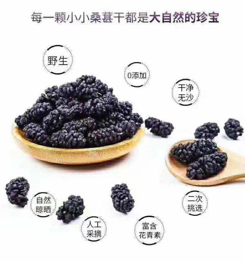 新疆黑桑葚干，干净无沙，