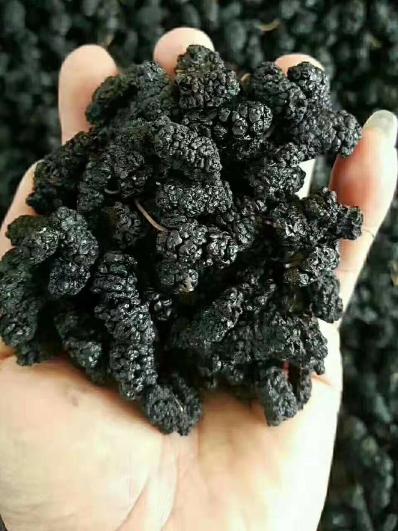 新疆黑桑葚干，干净无沙，