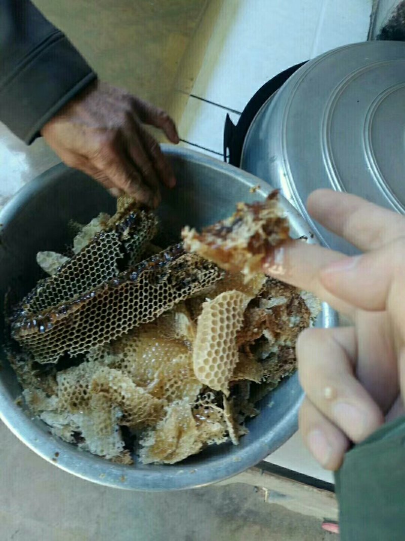 骊山土蜂蜜假一赔十！3斤100包邮起！量大优惠
