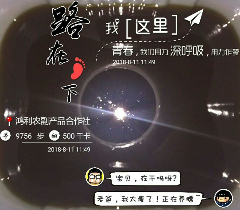 土蜂蜜优质土蜂蜜1斤39元包邮！3斤100元包邮