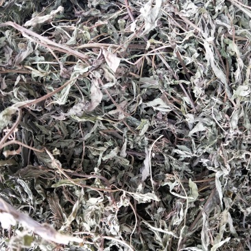 旱莲草，产地直供，一手货源，欢迎大家来电咨询