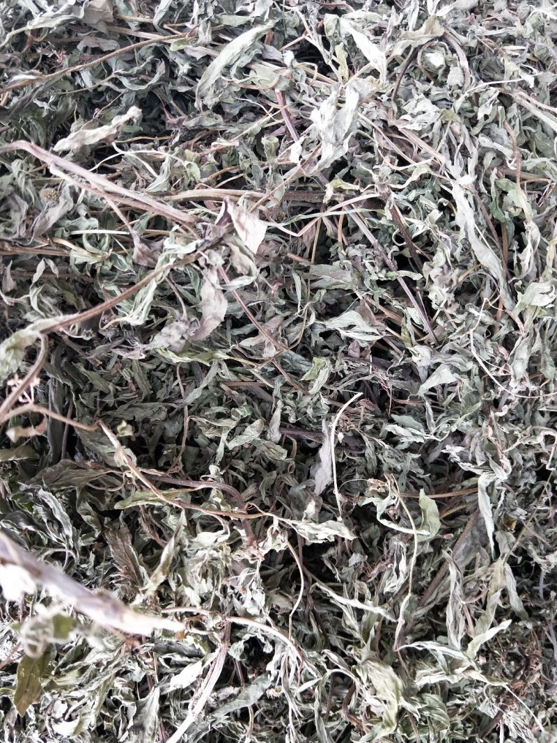 旱莲草，产地直供，一手货源，欢迎大家来电咨询