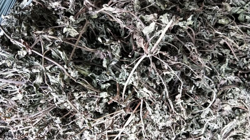 旱莲草，产地直供，一手货源，欢迎大家来电咨询