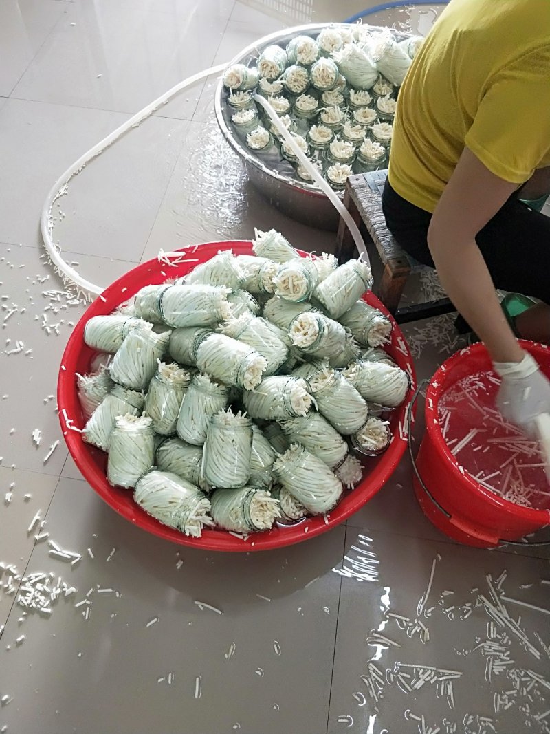 新货瓶装正宗八渡笋酸笋袋装酸笋酸笋片味道香