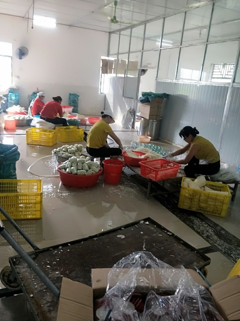新货瓶装正宗八渡笋酸笋袋装酸笋酸笋片味道香