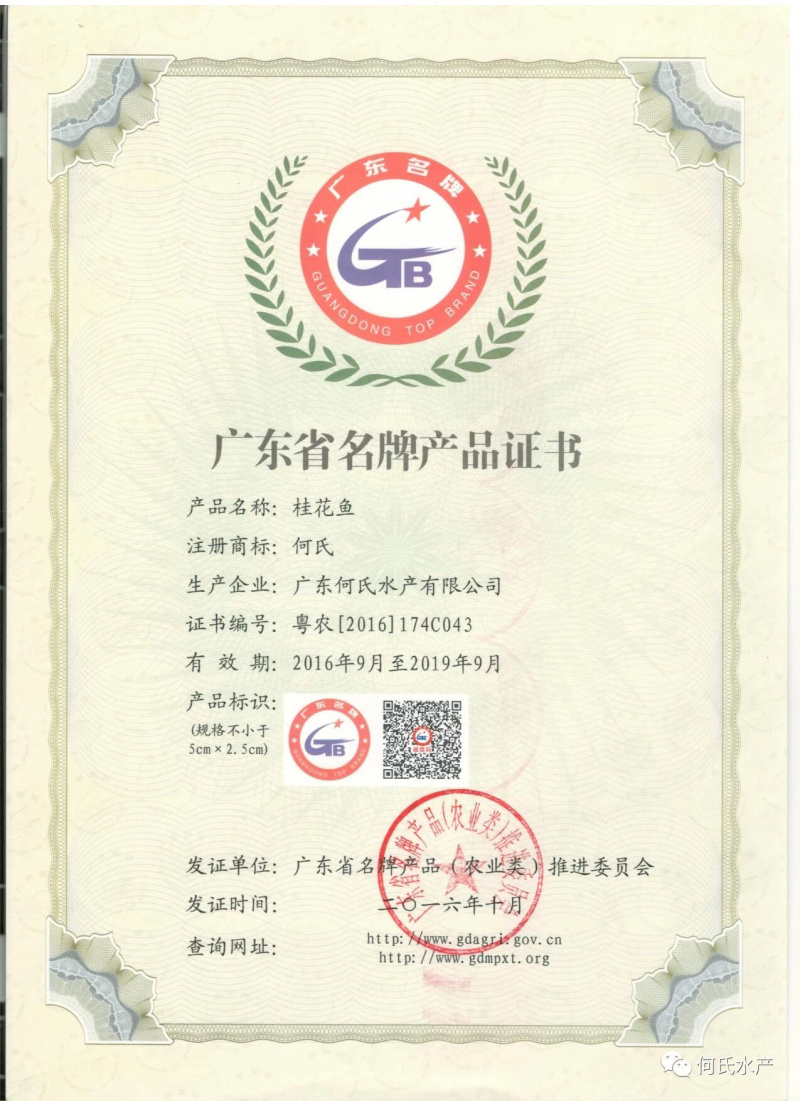 深圳惠州进口巴沙越南巴沙鱼湄公鱼龙利鱼深圳批发厂家，