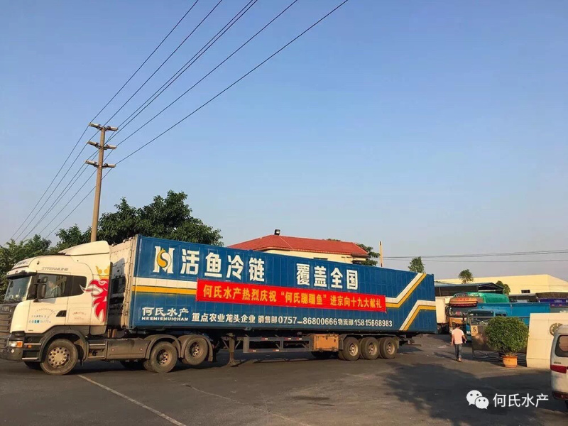 深圳惠州进口巴沙越南巴沙鱼湄公鱼龙利鱼深圳批发厂家，