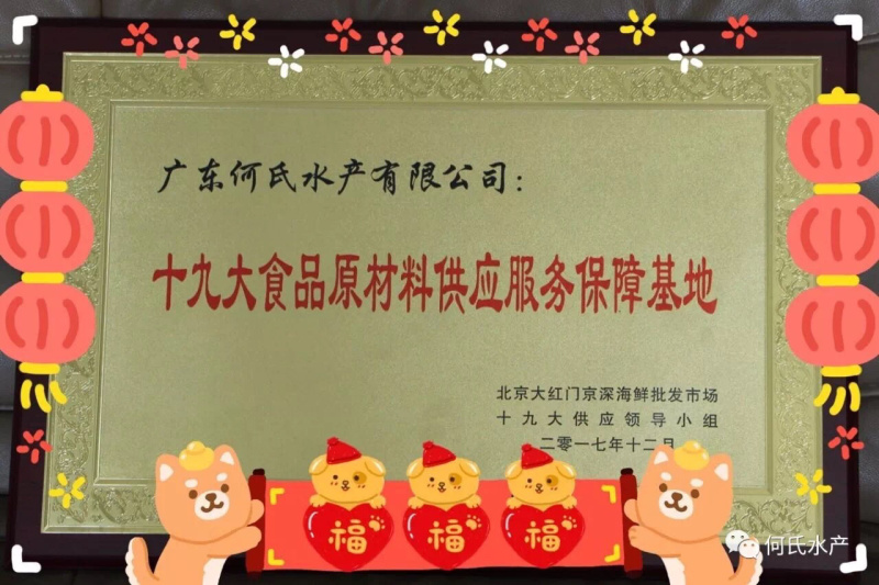 深圳惠州进口巴沙越南巴沙鱼湄公鱼龙利鱼深圳批发厂家，